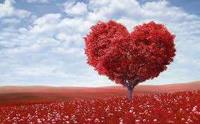 Soin bien-être OFFRE saint valentin